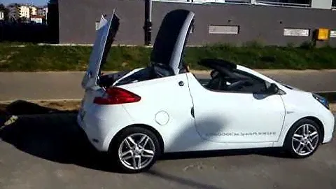 Renault Wind  close roof